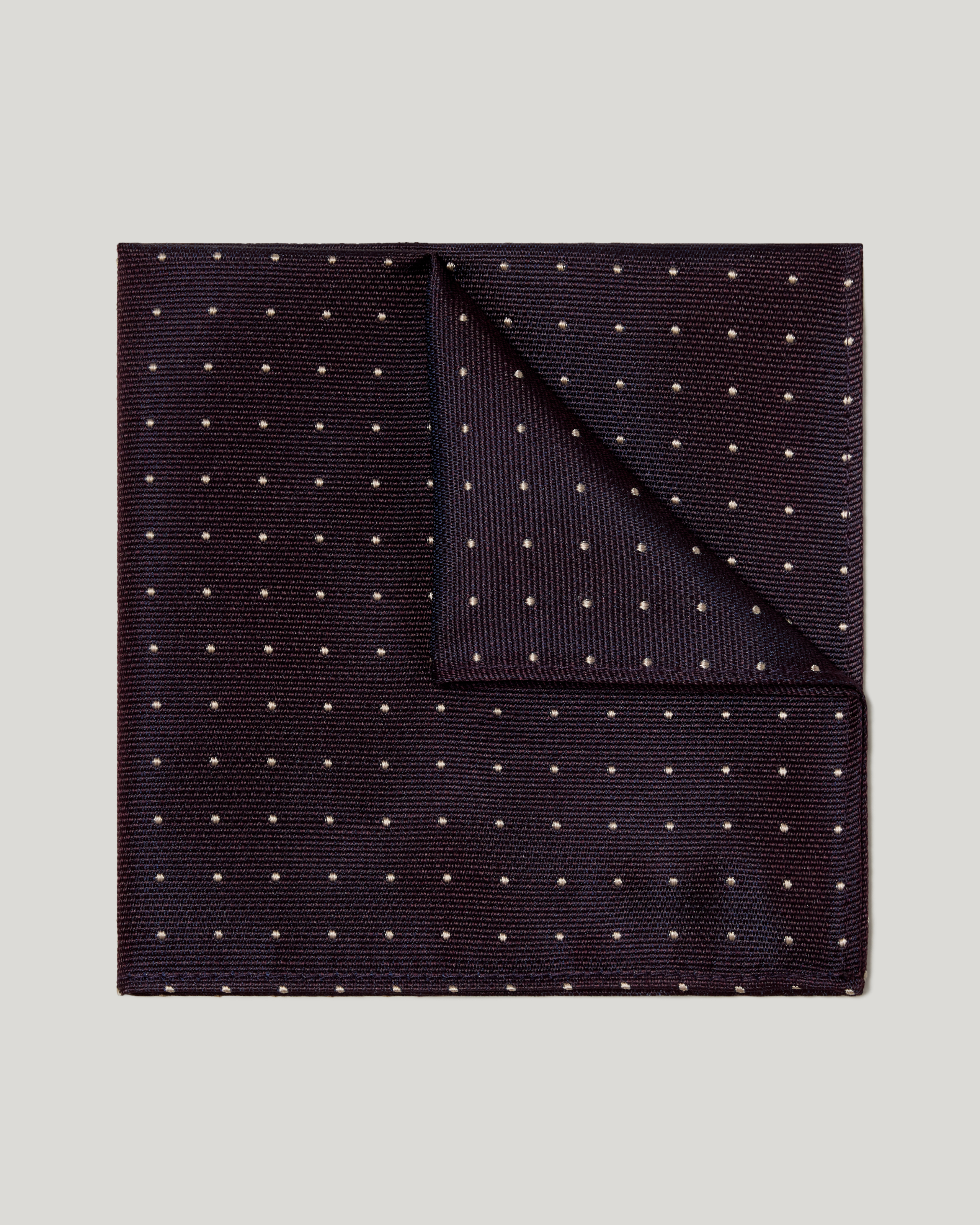 Martin Spot Pocket Square