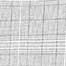 Grey Check