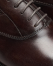 Davey Brogue Oxford Shoes, Chestnut, swatch