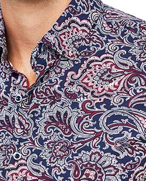 Party Paisley